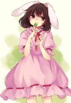  1girl :3 animal_ears brown_eyes brown_hair carrot_necklace closed_mouth clover dated dress four-leaf_clover head_tilt inaba_tewi m_(neteitai10) pink_dress puffy_sleeves rabbit_ears ribbon_trim simple_background smile solo standing touhou twitter_username 