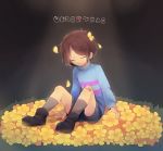  androgynous ankle_boots bandaid bandaid_on_knee boots brown_hair closed_eyes copyright_name flower_bed frisk_(undertale) highres makoto_(konbumi) open_mouth petals shorts sitting socks solo spotlight striped striped_sweater sweater undertale 