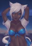  1girl animal_ears arms_up beach bikini_top blue_eyes cat_ears cat_tail dark_skin facial_mark final_fantasy final_fantasy_xiv jacket lips miqo&#039;te navel night open_clothes open_jacket short_hair slit_pupils solo soranamae tail white_hair 