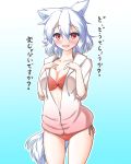  1girl animal_ears blush breasts cleavage collarbone fang gradient gradient_background hand_on_own_chest highres inubashiri_momiji large_breasts looking_at_viewer nintoku open_clothes open_mouth red_eyes short_hair silver_hair solo swimsuit tail touhou translated wolf_ears wolf_tail 