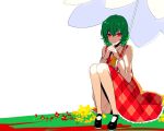  1girl ascot checkered checkered_skirt checkered_vest glowing glowing_eyes green_hair hair_between_eyes hands_clasped kazami_yuuka long_sleeves looking_at_viewer mary_janes nr_(cmnrr) parasol red_eyes shoes short_hair sitting skirt smile solo touhou transparent_background umbrella 