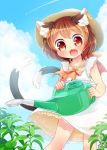  1girl :3 :d aircraft airplane alternate_costume animal_ears bare_arms brown_hair cat_ears cat_tail chen clouds commentary_request condensation_trail day dress earrings fang hat highres ibarashiro_natou jewelry looking_at_viewer multiple_tails nekomata open_mouth outdoors petticoat plant red_eyes ribbon short_hair single_earring sky smile solo sundress tail touhou two_tails watering_can 