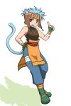  blue_hair fire_emblem fire_emblem:_souen_no_kiseki fire_emblem_path_of_radiance fire_emblem_radiant_dawn gloves heterochromia male ranulf tabard tail 