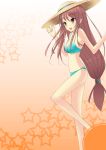  blush brown_eyes brown_hair fei_chai_you_er hat long_hair ookami-san ookami_ryouko solo swimsuit 