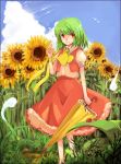  bad_id closed_umbrella flower flower_field green_hair hao_(patinnko) hitodama index_finger_raised kazami_yuuka ladybug nature patinnko pointing red_eyes short_hair skirt skirt_set smile solo standing sunflower touhou umbrella vest wrist_ribbon 