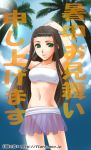  bracelet brown_hair camisole circlet contemporary dragon_quest dragon_quest_viii flare_(artist) green_eyes jewelry long_hair medea midriff palm_tree see-through skirt sky translation_request tree 