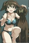  1girl absurdres animal_ears blue_background bra breasts brown_eyes brown_hair cleavage dog dog_ears dog_tail gertrud_barkhorn hair_ribbon highres kurashima_tomoyasu open_mouth panties ribbon scan simple_background strike_witches tail twintails underwear world_witches_series 