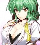  &gt;:) 1girl arm_garter black_bra bra breasts brown_eyes center_opening cleavage closed_mouth collarbone dress_shirt green_hair juliet_sleeves kazami_yuuka lace lace-trimmed_bra large_breasts long_sleeves looking_at_viewer nail_polish puffy_sleeves red_nails shirt short_hair smile solo touhou underwear upper_body white_background white_shirt y2 