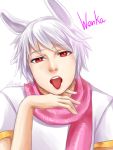  amour_sucr&eacute; crazyneko-reset red_eyes wenka_(amour_sucr&eacute;) white_hair 