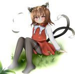  1girl :&lt; animal_ears black_legwear blush brown_hair cat_ears cat_tail chen dappled_sunlight frown grass grey_legwear head_tilt highres jewelry knees_up long_sleeves looking_at_viewer michaelangelo_salvoropartanen miniskirt multiple_tails no_hat no_headwear no_shoes pantyhose red_eyes ribbon short_hair simple_background single_earring sitting skirt skirt_set solo sunlight tail thighband_pantyhose touhou white_background 