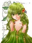  1girl breasts cleavage detached_sleeves final_fantasy final_fantasy_iv green_eyes green_hair hair_ornament long_hair rian rydia solo 