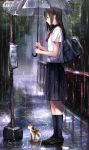  1girl bag black_eyes black_hair bus_stop cat duffel_bag full_body highres long_hair morerin original profile rain ripples school_uniform serafuku solo umbrella 