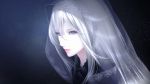  1girl blue erise grey_eyes hair_between_eyes light_particles long_hair nose original pale_skin parted_lips realistic see-through solo upper_body veil white_hair 