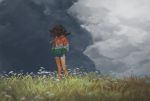  1girl blurry brown_hair clouds cloudy_sky covered_face depth_of_field facing_viewer field flower grass hair_blowing hands_in_pockets hood hoodie long_hair original pachyphytum shorts sky solo wind 