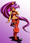  1girl arabian_clothes bandana breasts cleavage gun handgun holster jadenkaiba looking_at_viewer midriff navel pointy_ears ponytail purple_hair shantae_(character) shantae_(series) shantae_and_the_pirate&#039;s_curse skull solo stomach weapon 