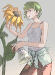  1girl bangs bare_shoulders breasts flower green_hair grey_background highres hotoke_party kazami_yuuka open_mouth pants red_eyes red_pants shirt short_hair sleeveless sleeveless_shirt solo sprinkler sunflower touhou white_shirt 