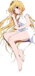  1girl absurdres blonde_hair bottomless brown_eyes dress_shirt from_above highres konjiki_no_yami long_hair looking_at_viewer lying on_side shirt simple_background solo to_love-ru white_background white_shirt 