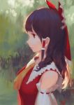  1girl ascot bare_shoulders brown_hair day detached_sleeves expressionless hair_ribbon hair_tubes hakurei_reimu jq lips long_hair outdoors profile red_eyes red_vest ribbon ribbon-trimmed_sleeves ribbon_trim solo touhou upper_body 