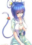  1girl :d animal_ears bangs blue_eyes blue_hair borushichi breasts cat_ears cat_tail collarbone dress eyebrows eyebrows_visible_through_hair eyelashes fang flower_request frills from_above hair_between_eyes hair_ornament hair_rings hair_stick highres kaku_seiga kemonomimi_mode looking_at_viewer medium_breasts open_mouth red_flower sash shawl short_sleeves simple_background sitting smile solo tail tail_flower touhou vest white_background white_flower 