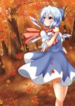  1girl autumn_leaves blue_eyes blue_hair blush bow cirno dress dress_shirt hair_bow highres ice ice_wings leaf looking_away looking_up maple_leaf nogiguchi outdoors puffy_short_sleeves puffy_sleeves scarf shirt short_hair short_sleeves smile solo touhou tree wings 