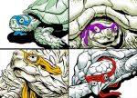  donatello leonardo lowres michelangelo parody raphael realistic teenage_mutant_ninja_turtles turtle 