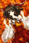  bow brown_eyes brown_hair detached_sleeves hair_bow hakurei_reimu japanese_clothes leaf leaves lilithbloody lying miko touhou 