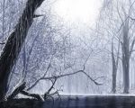  forest lake landscape nature original scenery shimo_(depthbomb) snow tree water winter 