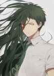  1boy closed_mouth collared_shirt dangan_ronpa frown fusion green_hair green_necktie grey_background hair hair_between_eyes heterochromia hinata_hajime kamukura_izuru long_hair looking_at_viewer male_focus necktie pocket red_eyes shirt short_hair solo split_theme spoilers super_dangan_ronpa_2 tomi_(dangan_tomi) upper_body yellow_eyes 