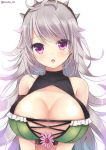  1girl :o breasts cleavage cleavage_cutout echinacea_(flower_knight_girl) flower flower_knight_girl grey_hair kurot large_breasts long_hair looking_at_viewer solo spikes twitter_username upper_body violet_eyes white_background 