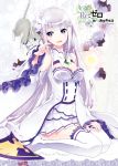  blush cat dress emilia_(re:zero) long_hair purple_eyes re:zero_kara_hajimeru_isekai_seikatsu smile white_hair 