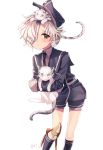  1boy animal animal_on_head blue_eyes blue_legwear gokotai gokotai&#039;s_tigers hair_over_one_eye hakusai_ponzu hat kneehighs male_focus military military_uniform necktie shorts tiger tiger_cub touken_ranbu uniform white_hair white_tiger yellow_eyes 