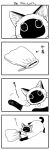  4koma :3 cat collar comic greyscale highres kinchaku monochrome no_humans original siamese_cat translated yamano_rinrin 