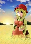  1girl aki_minoriko apple apron blonde_hair bowl breasts dress eyebrows food food_on_head fruit fruit_on_head grapes hat kousei_(public_planet) looking_at_viewer medium_breasts mob_cap mountain object_on_head red_eyes short_hair smile solo sunset thick_eyebrows touhou wheat_field wide_sleeves 