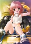  animal_ears animal_tail brown_eyes brown_hair character_request happy highres looking_at_viewer short_hair sitting 