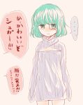  1girl flat_chest green_eyes green_hair monocle nashimo_(artist) one_piece open-chest_sweater ribbed_sweater short_hair simple_background solo sugar_(one_piece) sweater translation_request 