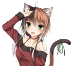  1girl animal_ears bow brown_hair cat_ears cat_tail green_eyes highres mage_(335656) multicolored_hair original short_hair_with_long_locks solo tail tail_bow transparent_background two-tone_hair 
