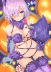  1girl animal_ears artist_name ass_visible_through_thighs blush breasts candy cleavage closed_eyes dutch_angle elbow_gloves eyes_visible_through_hair fate/grand_order fate_(series) fur-trimmed_gloves fur-trimmed_legwear fur_trim gloves hair_over_one_eye hakuishi_aoi halloween large_breasts looking_at_viewer navel o-ring o-ring_top pumpkin purple_hair revealing_clothes ribbon shielder_(fate/grand_order) shiny shiny_skin short_hair sitting smile solo tail thigh-highs violet_eyes wolf_ears wolf_tail 