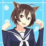  1girl :d ahoge animal_ears ardinassau blue_background brave_witches brown_eyes brown_hair clenched_hands collarbone hair_between_eyes hair_ornament hairclip hands_up highres karibuchi_hikari looking_at_viewer open_mouth paw_pose ribbon school_uniform serafuku short_hair smile solo squirrel_ears teeth uniform upper_body white_ribbon world_witches_series 
