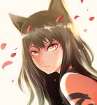  1girl animal_ears arm_ribbon bangs black_hair blake_belladonna bow cat_ears cat_girl closed_mouth eyelashes from_side h-y-d highres light_particles lips long_hair looking_at_viewer petals portrait ribbon rwby slit_pupils solo spoilers yellow_eyes 