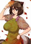  1girl animal_ears autumn_leaves breasts brown_eyes brown_hair futatsuiwa_mamizou glasses hand_on_hip impossible_clothes impossible_shirt large_breasts leaf open_mouth pince-nez raccoon_ears raccoon_tail shirt smile tail touhou umasan 