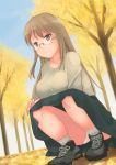  akemiho_tabi_nikki boots brown_eyes brown_hair dress dutch_angle glasses kouno_hikaru leaf long_hair oribe_shiori original panties pantyshot pantyshot_(squatting) squatting tree underwear 