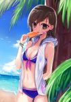  1girl against_tree arm_behind_back beach bikini blue_bikini blue_sky bracelet breasts brown_eyes brown_hair cleavage d.va_(overwatch) earrings highres jewelry long_hair navel ocean overwatch palm_tree popsicle rinrin_(hiouurin) sky sleeveless sleeveless_hoodie small_breasts solo sweat swimsuit tree whisker_markings 