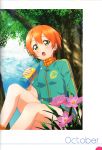  1girl absurdres blush bottle flower green_eyes highres holding hoshizora_rin jacket looking_at_viewer love_live! love_live!_school_idol_festival love_live!_school_idol_project open_mouth orange_hair short_hair sitting sleeves_rolled_up solo sweat tree water_bottle 