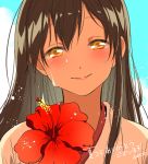  1girl akagi_(kantai_collection) bangs blush brown_eyes brown_hair closed_mouth clouds day deco_(geigeki_honey) eyebrows eyebrows_visible_through_hair flower head_tilt hibiscus japanese_clothes kantai_collection long_hair looking_at_viewer pink_lips portrait red_flower sketch sky smile solo straight_hair translation_request water_drop wet wet_hair yellow_eyes 