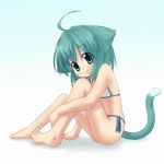  barefoot bikini cat_ears cat_tail feet green_eyes green_hair kurukuru@fundoshi original short_hair swimsuit tail ueno_musashi 