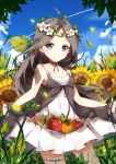 1girl ahoge apple bangs blue_eyes blurry blush breasts brown_hair cleavage closed_mouth collarbone cowboy_shot dango_remi day depth_of_field dress flower food fruit grass head_tilt head_wreath highres leaf medium_breasts neck_ribbon original outdoors parted_bangs plant red_ribbon ribbon skirt_basket skirt_hold sky sleeveless sleeveless_dress smile solo sunflower white_dress 