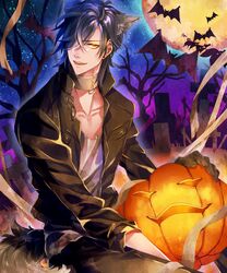  1boy animal_ears bat black_gloves black_hair collar cross earrings eyepatch full_moon gloves halloween highres jack-o&#039;-lantern jewelry male_focus miyata_mozuku moon open_mouth shokudaikiri_mitsutada sky smile star_(sky) starry_sky stud_earrings tail touken_ranbu tree wolf_ears wolf_tail yellow_eyes 