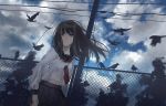  1girl bird black_hair black_skirt blue_eyes closed_mouth clouds cloudy_sky crow day fence from_below long_hair long_sleeves looking_away navel neckerchief original pleated_skirt ryokucha_manma skirt sky solo 