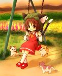  1girl animal_ears ascot blush cat cat_ears cat_tail chen collar collared_shirt dress eijima_moko grass ground highres hill long_sleeves looking_at_viewer mary_janes multiple_tails orange_sky outdoors red_dress red_shoes shadow shirt shoes sky smile socks swing tail touhou two_tails white_shirt 