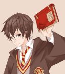  1boy book crest fantastic_beasts_and_where_to_find_them glasses green_eyes harry_james_potter harry_potter looking_at_viewer male_focus necktie robe scar school_uniform solo striped_necktie sweater v-neck 
